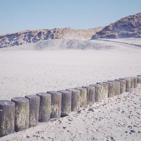 아파트 Friedrich *