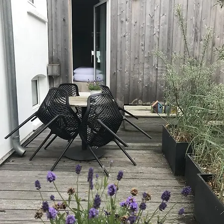 아파트 Friedrich *